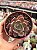 Echeveria marron - Imagem 1