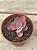 Echeveria chantilly marginata variegata - Imagem 1