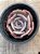 Echeveria pollux - Imagem 3