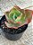 Echeveria barbillion (sem raiz) - Imagem 3