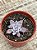 Graptoveria lulu - Imagem 3