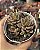 Lenopetalum chocolate and strawberries variegata - Imagem 1