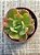 Echeveria multicaulis - Imagem 3