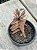 Crassula pubescens ssp. rattrayi - Imagem 2