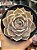 Echeveria lótus G - Imagem 1