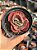 Echeveria red regis variegata - Imagem 1