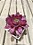Aeonium rose (sem raiz) - Imagem 2