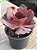 Echeveria pluto (importada) - Imagem 2