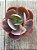 Echeveria mandala perfect - Imagem 3