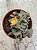 Aloinopsis malherbei 02 - Imagem 2