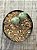 Conophytum bilobum (duplo maior) - Imagem 3