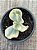 Echeveria Julia aurea variegata - Imagem 4