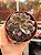 Echeveria dentra jam variegata - Imagem 1