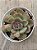Echeveria dentra jam variegata - Imagem 4