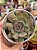 Echeveria dentra jam variegata - Imagem 1