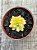 Echeveria mini belle áurea (sem raiz) - Imagem 4