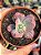 Echeveria linguas (sem raiz) - Imagem 1