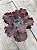 Echeveria capricorn M - Imagem 3