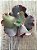Echeveria capricorn M - Imagem 4