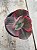 Echeveria timajon (sem raiz) - Imagem 1