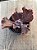 Echeveria lavender frills - Imagem 4
