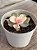 Echeveria rainbow - Imagem 2