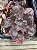 Echeveria one up - Imagem 2
