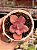 Echeveria only one variegata - Imagem 1