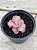 Echeveria only one variegata - Imagem 3