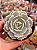 Echeveria lola - Imagem 1