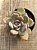 Graptoveria supreme - Imagem 3