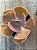 Echeveria peruvian rose - Imagem 3