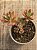Echeveria mini belle (colônia) - Imagem 3