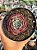 Echeveria Beyonce rainbow reversa - Imagem 1