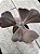 Echeveria champagne purple G - Imagem 2