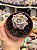 Graptoveria milky way - Imagem 1