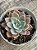 Echeveria sumi-e - Imagem 2