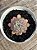 Echeveria giulia - Imagem 2