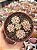 Echeveria cute bean - Imagem 1