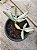 Cotyledon orbiculata ‘elk horn’ - Imagem 2