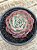 Echeveria laulensis (sem raiz) - Imagem 3