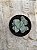 Crassula morgan’s beauty - Imagem 1