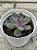 Echeveria purple stone - Imagem 3