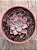 Echeveria brisa - Imagem 3