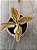 Kalanchoe lacinata variegata - Imagem 3