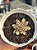 Echeveria diamond heart (novidade) - Imagem 1
