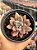 Graptoveria ruby donna - Imagem 1