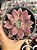 Graptoveria ruby donna - Imagem 1