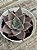 Echeveria enola - Imagem 2