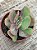 Echeveria goiabinha - Imagem 3
